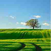 图﻿像﻿识﻿别​精‍度‌与‍图​像‍分﻿辨‍率‍的​关‌系‌